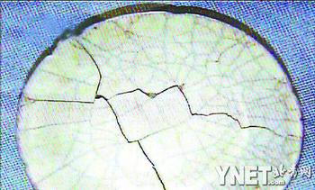 �����Ҥ��������