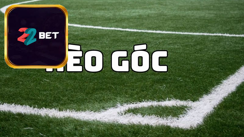 Hướng dẫn cách đọc kèo phạt góc dành cho tân thủ